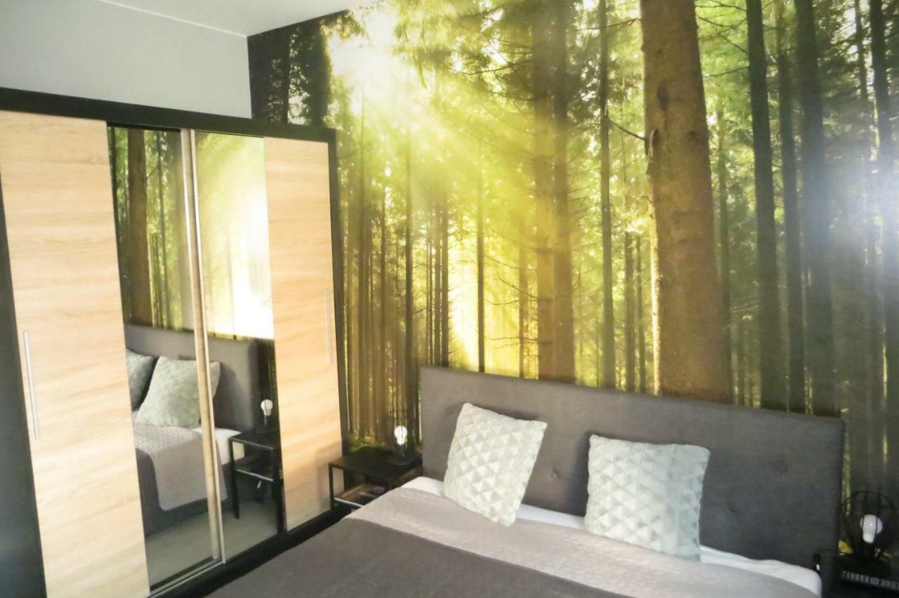 Apartament Modern Z Ogrodem Шклярска Поремба Екстериор снимка